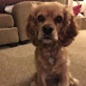 Meet your Posher, Renee